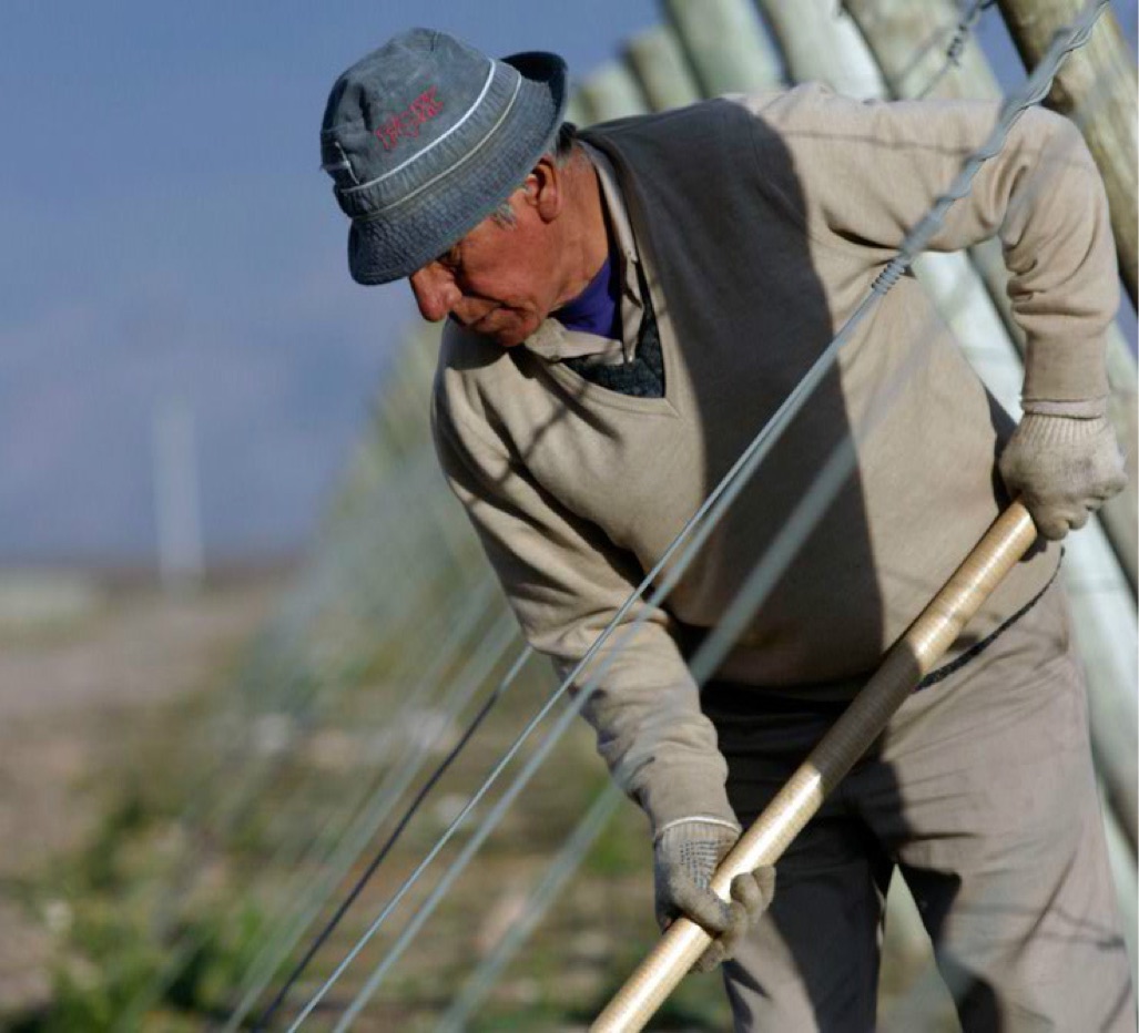 Meet Argentina’s finest winemakers