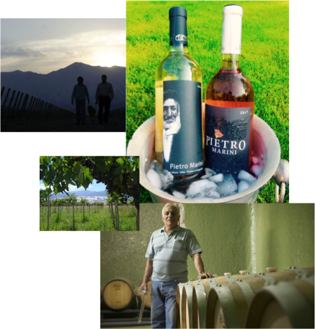 Fine Wines from Argentina