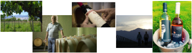 Fine Wines from Argentina